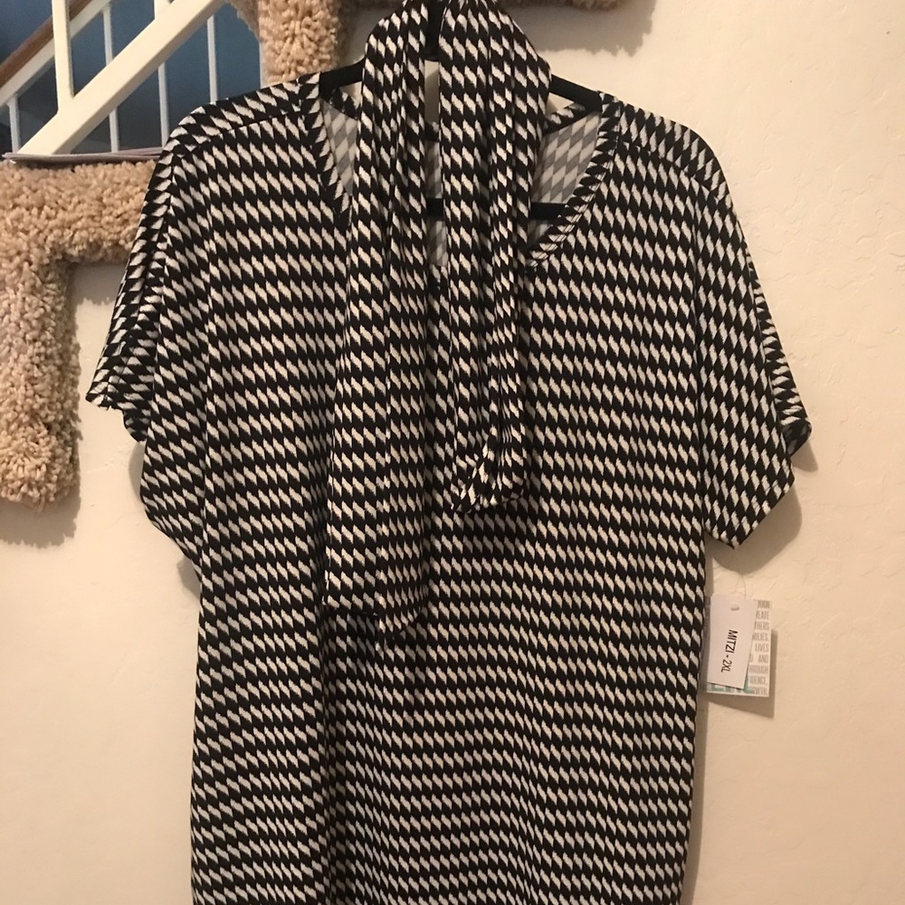 2XL Lularoe Mitzi